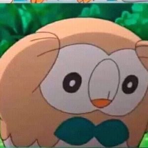 Meet your Posher, Santana